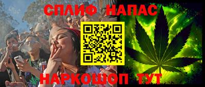 прущие грибы Апшеронск