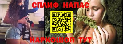 прущие грибы Апшеронск