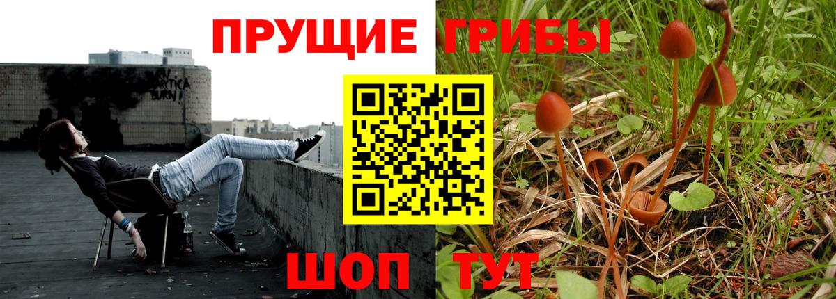 Галлюциногенные грибы GOLDEN TEACHER  Ковров 