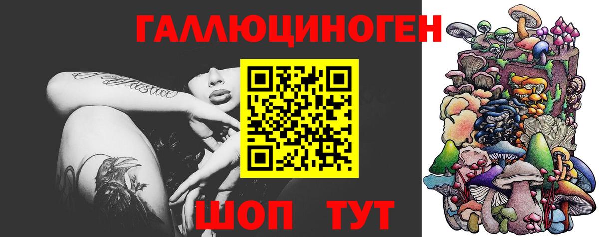 дарнет шоп  Галлюциногенные грибы мицелий  Вход с VPN  Ковров 
